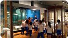 MUSEU_ZOOLOGIA2017 (32).JPG